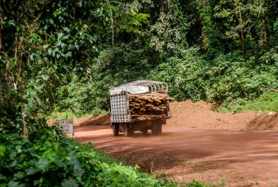 Threat_illegal-logging_Kakamega-Forest-National-Reserve_Kenya_Felix_Cybulla_Independent_1-400x269